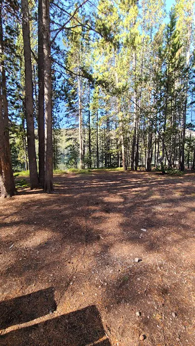 Twin Lakes Campground Picture 4