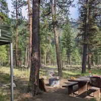 Yellow Pine Campground ico