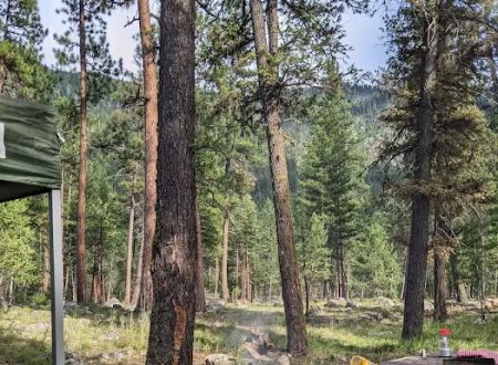 Yellow Pine Campground
