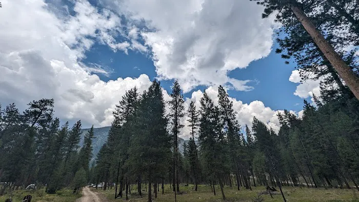 Yellow Pine Campground Picture 7