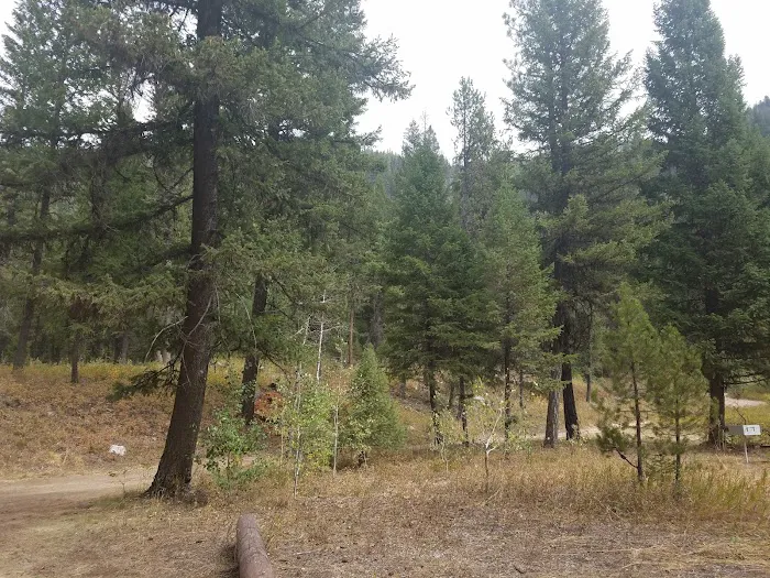 Golden Gate Campground Picture 4