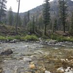 Golden Gate Campground