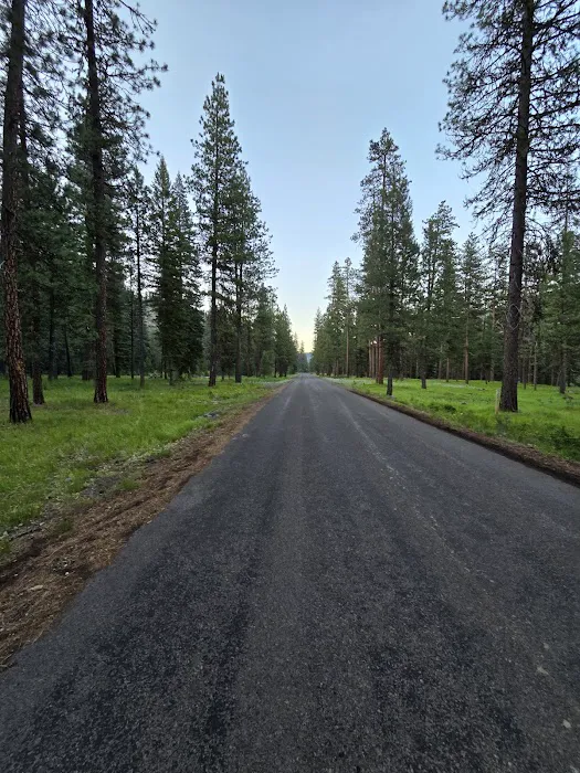 Hidden Campground Picture 3