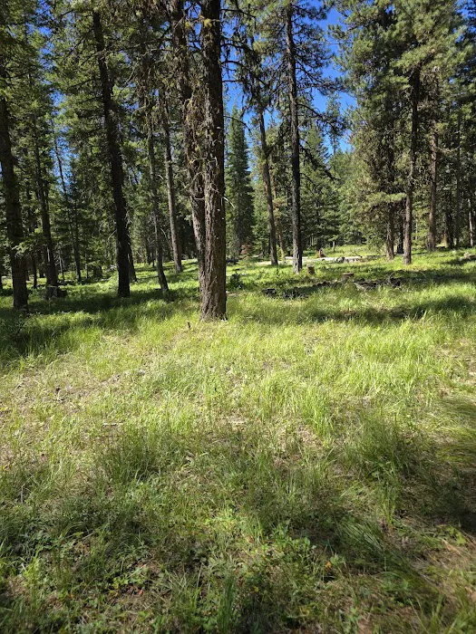 Hidden Campground Picture 2