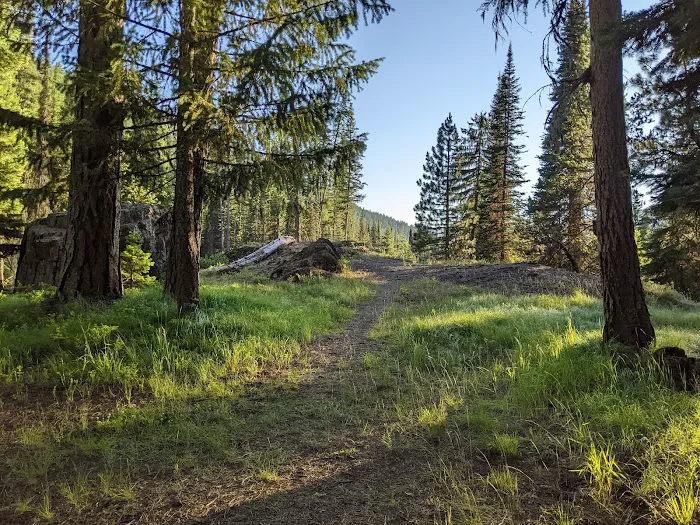 Hidden Campground Picture 4