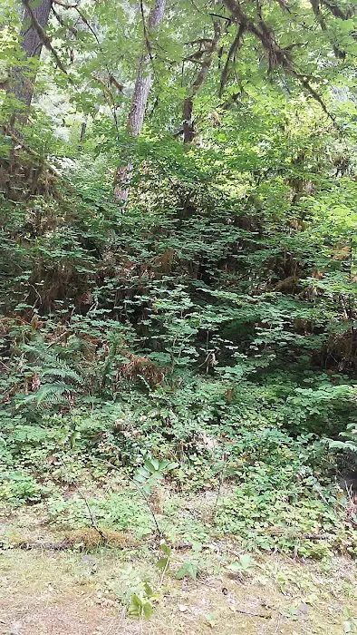 Lake Fork Campground Picture 9