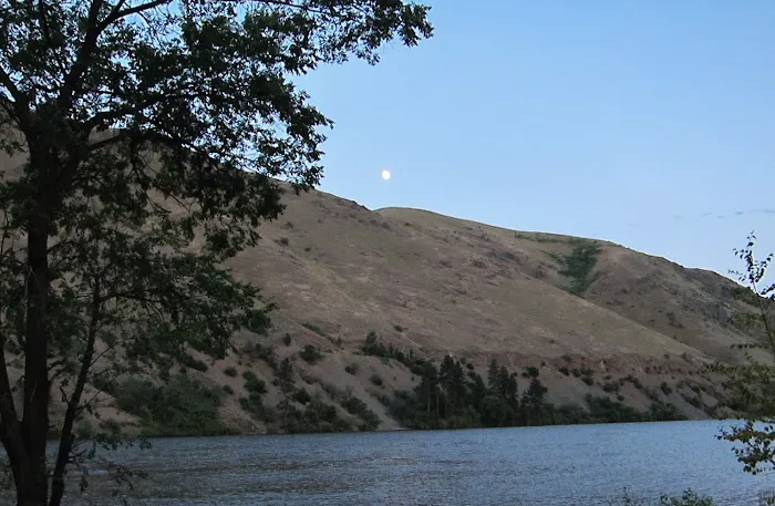 US Forest Service Picture 9