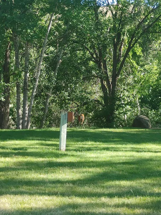 Copperfield Campground Picture 10