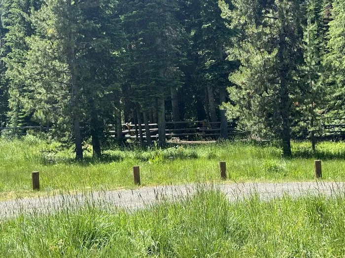 Lick Creek Campground Picture 2