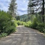 Evergreen Picnic Site and Campground