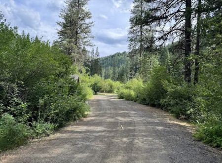 Evergreen Picnic Site and Campground