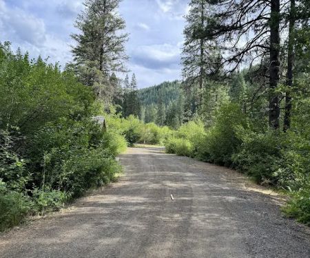 Evergreen Picnic Site and Campground
