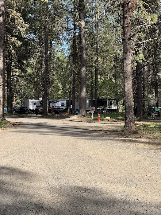 Ponderosa RV Campground Loop Picture 1