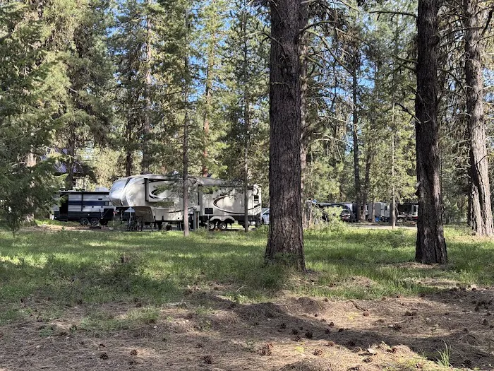 Ponderosa RV Campground Loop Picture 4