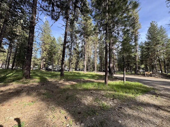 Ponderosa RV Campground Loop Picture 3