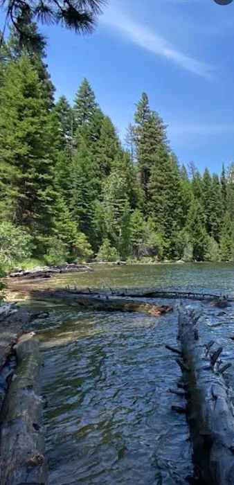 Ponderosa RV Campground Loop Picture 5