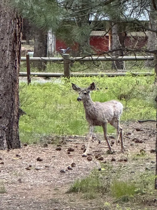 RV Campground Picture 5