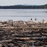 Lake Fork Campground ico