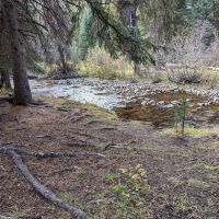 Paddy Flat Camping Area ico