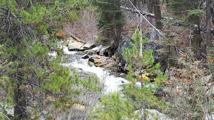 Kennally Creek Campground Picture 1