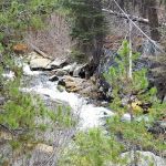 Kennally Creek Campground