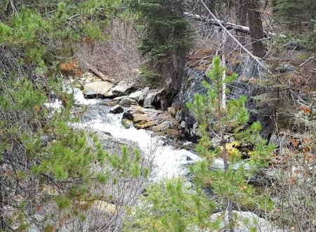 Kennally Creek Campground