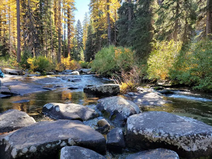 Kennally Creek Campground Picture 2