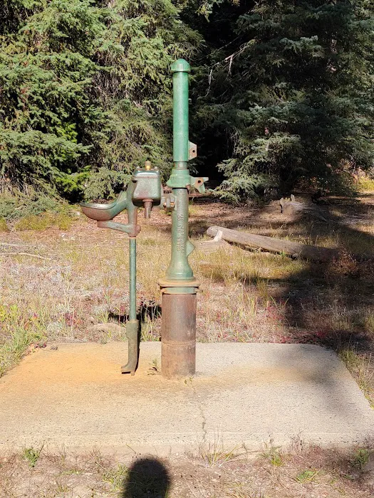 Kennally Creek Campground Picture 6