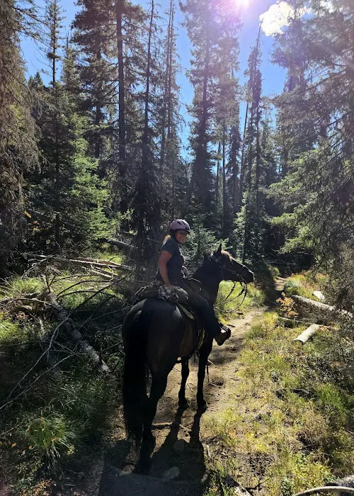 Kennally Creek Campground Picture 8