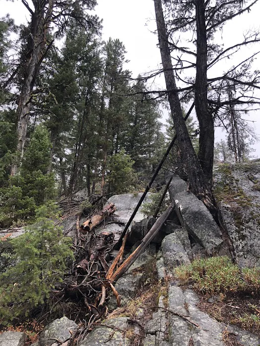 Kennally Creek Campground Picture 7