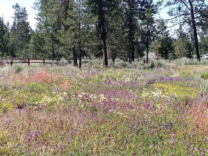 City Of Donnelly Campground Picture 1