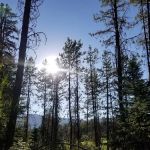 SISCRA Campground