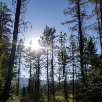 SISCRA Campground ico