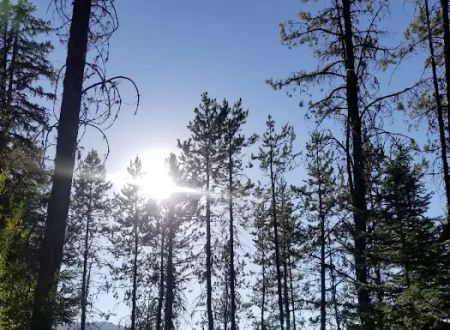 SISCRA Campground