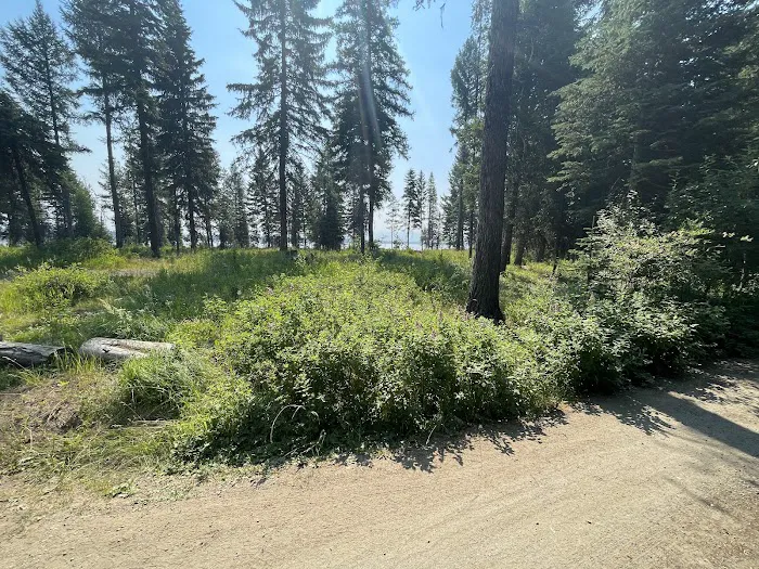 Rainbow Point Campground Picture 6