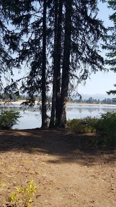 Rainbow Point Campground Picture 3