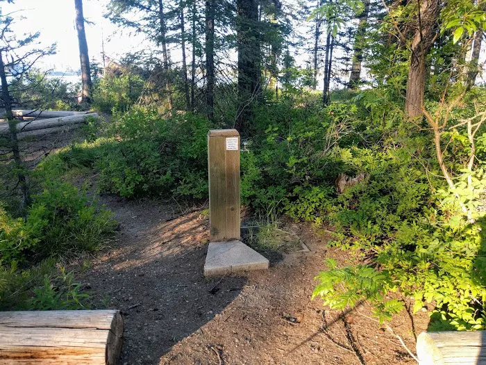 Rainbow Point Campground Picture 5