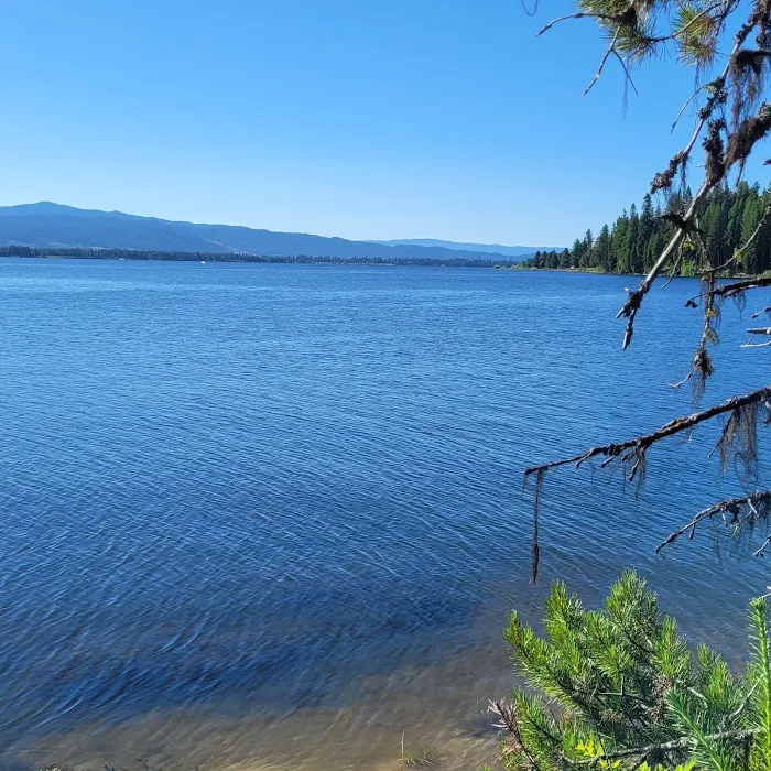 Rainbow Point Campground Picture 10
