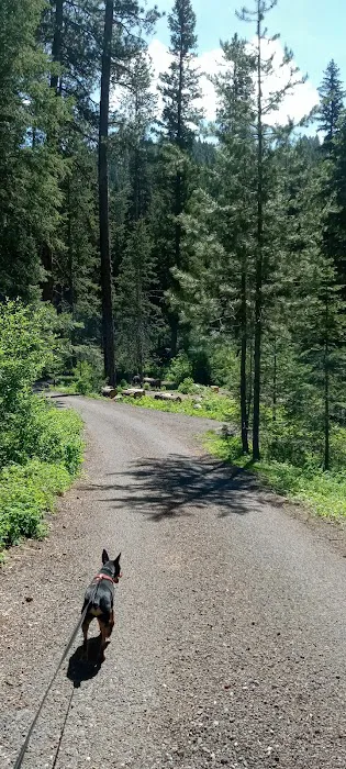 Four Mile Campground Picture 4