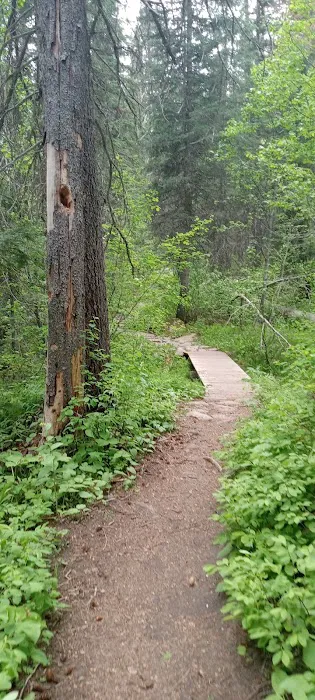 Four Mile Campground Picture 6