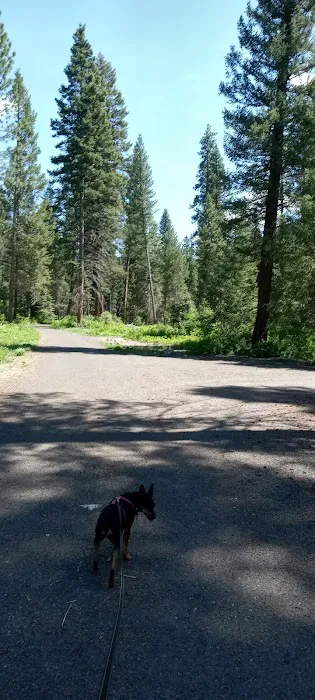Four Mile Campground Picture 5