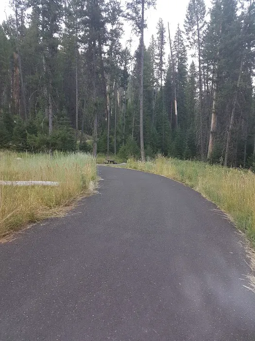 Four Mile Campground Picture 8