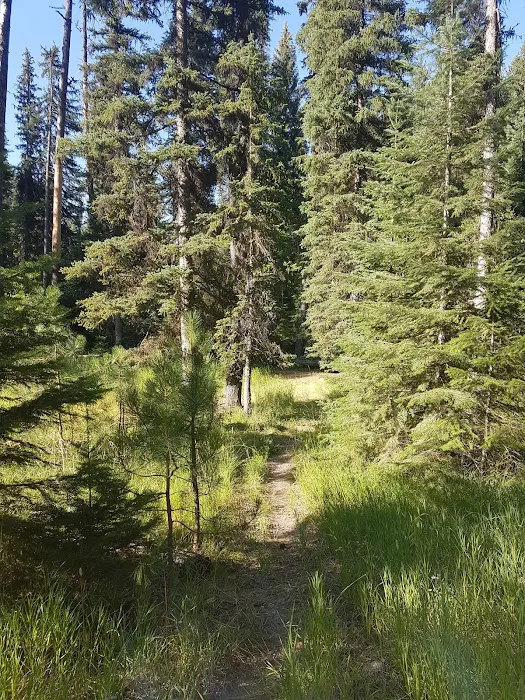 Four Mile Campground Picture 10