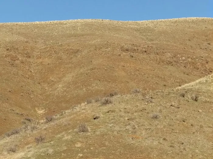 McCormick Campground Picture 6
