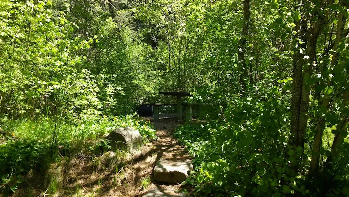 Brownlee Campground Picture 2