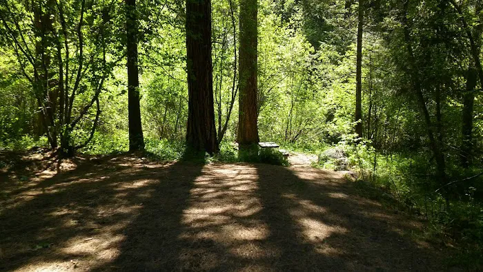Brownlee Campground Picture 3