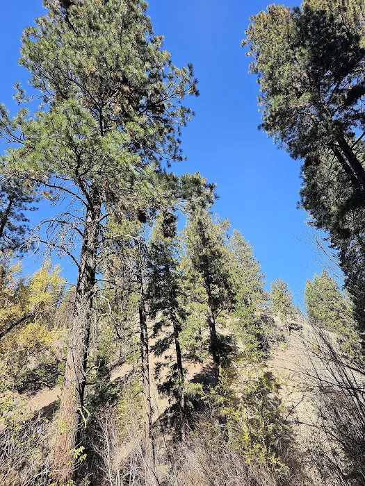 Brownlee Campground Picture 9