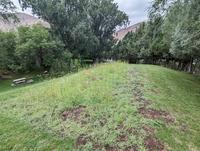 Woodhead Park Campground Picture 3