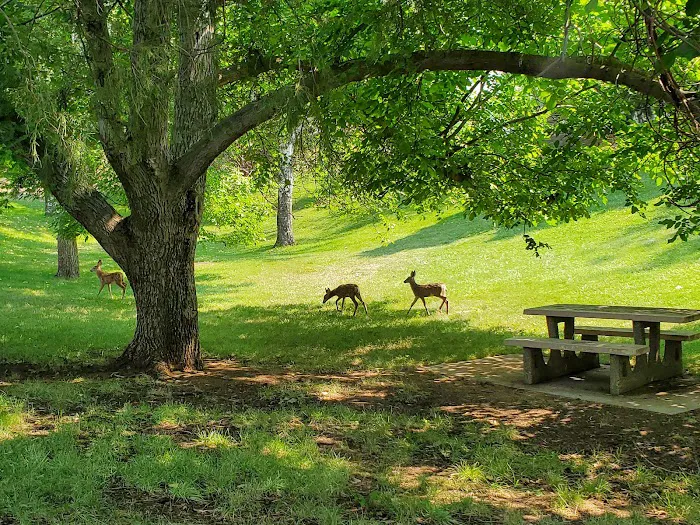 Woodhead Park Campground Picture 1