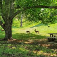 Woodhead Park Campground ico